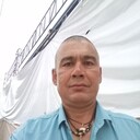 ���������� �������, ���� ������� ����, 48 ���, ������������ ��� ������, ����� � ���������, c�������� ���������, ���������