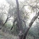  ,    , 37 ,   ,   , c 