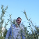 ���������� �����-���������, ���� ������� Veps, 37 ���, ������������ ��� ������, ����� � ���������, c�������� ���������, ���������