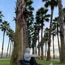 ���������� ������������, ���� ������� ������, 33 ����, ������������ ��� ����� � ���������, ���������