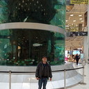 ���������� �������, ���� ������� ������, 32 ����, ������������ ��� ������, ����� � ���������, c�������� ���������