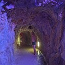 ���������� �����, ���� ������� ��������, 36 ���, ������������ ��� ������, ����� � ���������