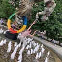 ���������� ������, ���� ������� �������, 26 ���, ������������ ��� ������, ����� � ���������