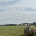 ���������� ����������, ���� ������� ������, 31 ���, ������������ ��� ������, ����� � ���������