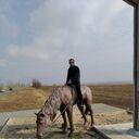 ���������� ������, ���� ������� ������, 31 ���, ������������ ��� ������, ���������