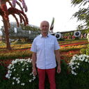  Alacant,   , 55 ,   ,   , c 