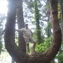  ,   , 48 ,   