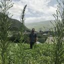 ���������� �����, ���� ������� �����, 43 ����, ������������ ��� ������, ����� � ���������