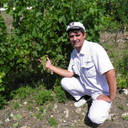 ���������� ������, ���� ������� �����, 52 ����, ������������ ��� ������, ����� � ���������, c�������� ���������