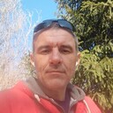 ���������� ������, ���� ������� ����, 43 ����, ������������ ��� ������, ����� � ���������, c�������� ���������