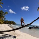 ���������� �����������, ���� ������� ����, 38 ���, ������������ ��� ������, ����� � ���������, c�������� ���������, ���������