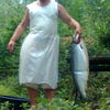  ,   Lenia, 53 ,   ,   , c 