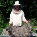  ,   , 55 ,   ,   , c 