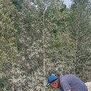  ,   , 65 ,   