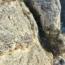 ���������� ����������, ���� ������� �����, 99 ���, ������������ ��� c�������� ���������