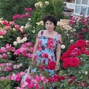  --,   , 65 ,   