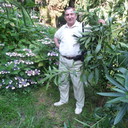 ,   , 61 ,   ,   , c , 