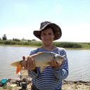 ���������� ���������, ���� ������� �������, 39 ���, ������������ ��� ������, ����� � ���������, c�������� ���������