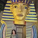 ���������� ������ ��������, ���� ������� ��������, 56 ���, ������������ ��� ������, ����� � ���������, c�������� ���������