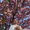 ���������� ����, ���� ������� �������, 34 ����, ������������ ��� ������, ����� � ���������, c�������� ���������