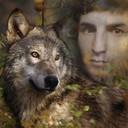 ���������� �����-���������, ���� ������� ��������, 34 ����, ������������ ��� ������, ����� � ���������, c�������� ���������