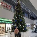 ���������� ������, ���� ������� ������, 37 ���, ������������ ��� ������, ����� � ���������