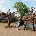 ���������� ����������, ���� ������� ������, 30 ���, ������������ ��� ������, ����� � ���������