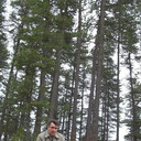 ���������� ������, ���� ������� �����, 51 ���, ������������ ��� ������, ����� � ���������, c�������� ���������