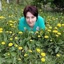 ���������� ����, ���� ������� ���, 40 ���, ������������ ��� ����� � ���������, c�������� ���������