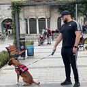 ���������� ����� �������, ���� ������� ����, 33 ����, ������������ ��� ������, ����� � ���������