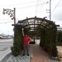 ���������� �����������, ���� ������� �����, 37 ���, ������������ ��� ������, ����� � ���������