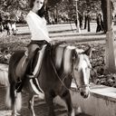 ���������� ������, ���� ������� ����, 38 ���, ������������ 