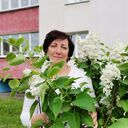 ���������� �����, ���� ������� �������, 55 ���, ������������ ��� ������, ����� � ���������, c�������� ���������