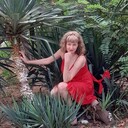 ���������� ����������, ���� ������� �������, 49 ���, ������������ ��� ����� � ���������, c�������� ���������