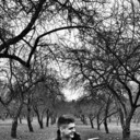 ���������� �����, ���� ������� �������, 29 ���, ������������ ��� ������, ����� � ���������, c�������� ���������