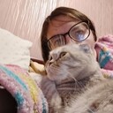 ���������� �������, ���� ������� �����, 43 ����, ������������ ��� ������, ����� � ���������, c�������� ���������, ���������