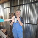  ,   Oleg, 61 ,   ,   , c 