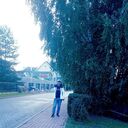 ���������� ������, ���� ������� ������, 41 ���, ������������ ��� ������, ����� � ���������