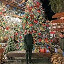  ,   Tigran, 26 ,   ,   