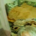  ,   , 65 ,   ,   , c 