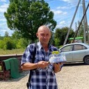  ,   , 51 ,   c 