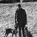 ���������� ������������, ���� ������� ���������, 33 ����, ������������ ��� ������, ����� � ���������, c�������� ���������