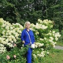  ,   , 46 ,     , 