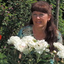  ,   , 51 ,   ,   , c 