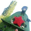 ���������� �������, ���� ������� �����, 43 ����, ������������ ��� ������, ����� � ���������, c�������� ���������