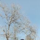 ���������� ������, ���� ������� �����, 31 ���, ������������ ��� ������, ����� � ���������