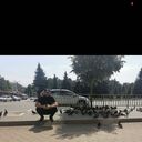 ���������� ���������, ���� ������� �����, 39 ���, ������������ ��� ������, ����� � ���������