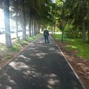 ���������� ��������, ���� ������� �����, 43 ����, ������������ ��� ������, ����� � ���������, c�������� ���������, ���������