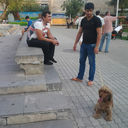  ,   Suro, 29 ,   ,   , c , 