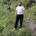  ,   , 38 ,   ,   